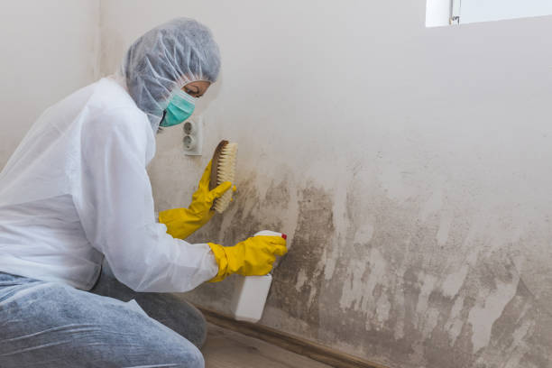 Best Biohazard Mold Removal  in Weatogue, CT